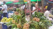 অপরিপক্ব লিচুতে সয়লাব বাজার