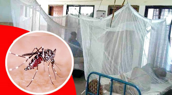 ডেঙ্গুতে চলতি বছরের ডিসেম্বরে সর্বাধিক আক্রান্ত ও মৃত্যুর রেকর্ড